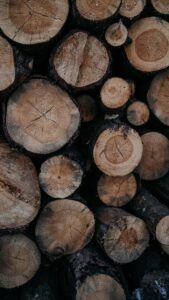 Close up on chopped timber